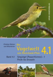 Die Vogelwelt von Rheinland-Pfalz, Band 4.1