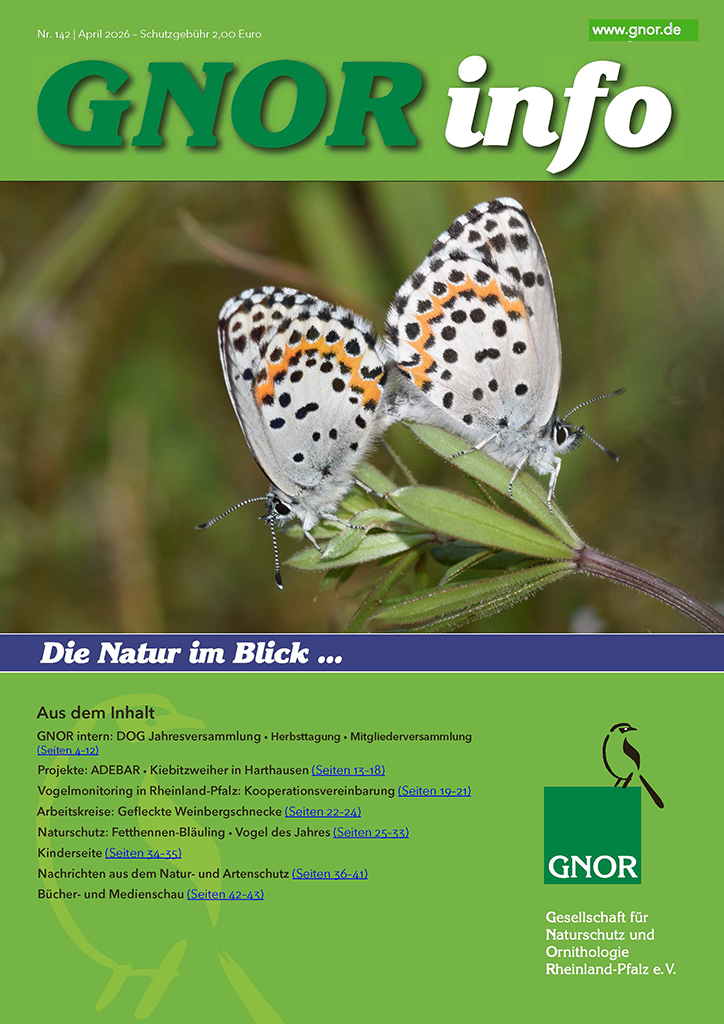 GNORinfo Nr. 141, November 2025, Titelseite